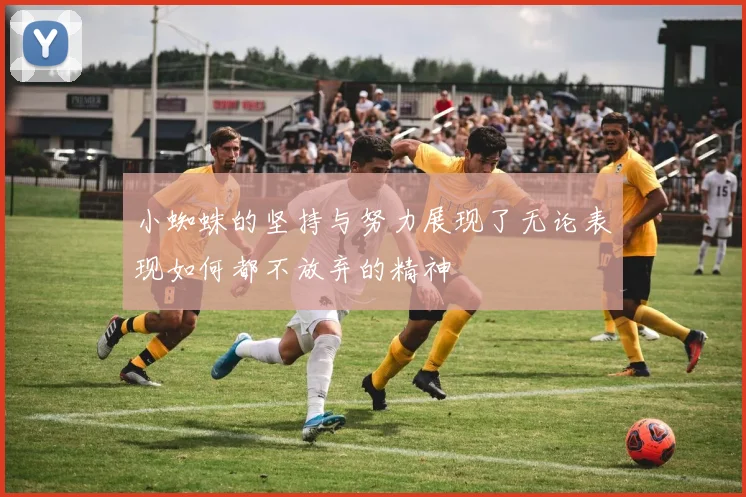 小蜘蛛的坚持与努力展现了无论表现如何都不放弃的精神